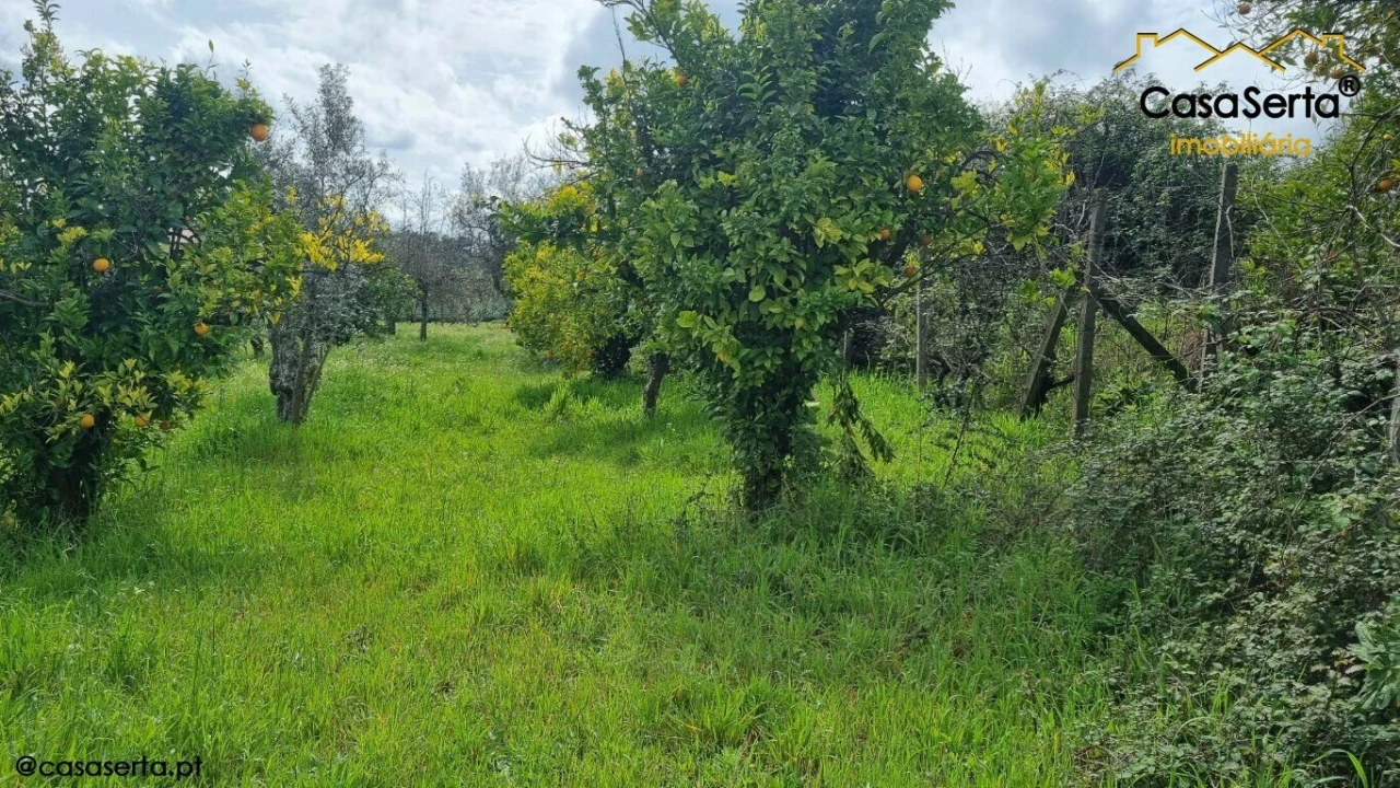 Terreno para Venda em Cabeçudo Foto 6