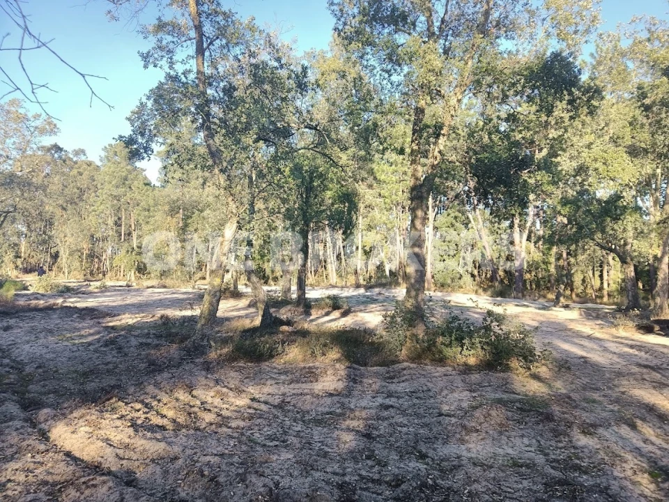 Terreno para Venda em Salvaterra de Magos e Foros de Salvaterra Foto 5