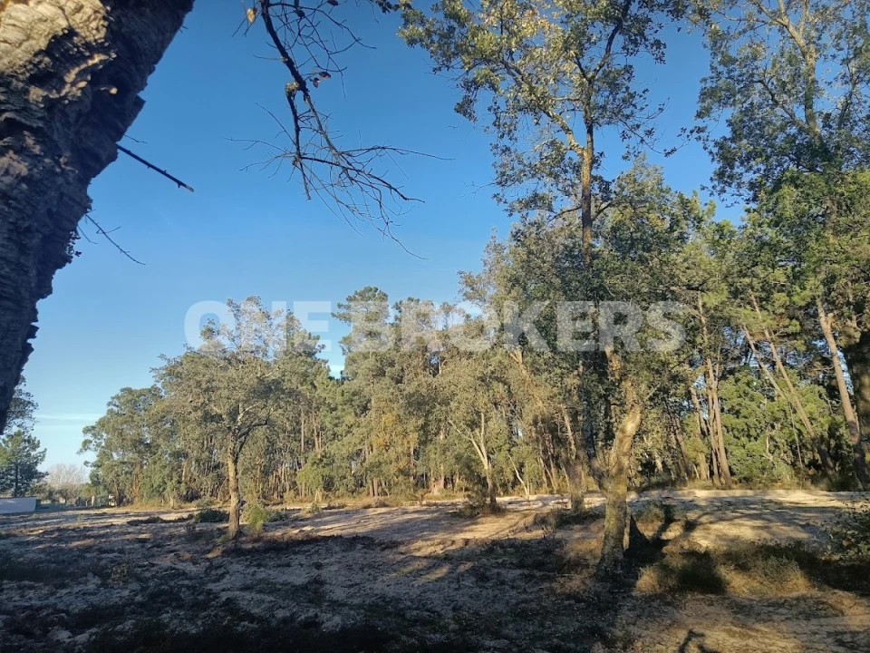 Terreno para Venda em Salvaterra de Magos e Foros de Salvaterra Foto 6