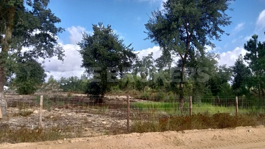 Terreno para Venda em Salvaterra de Magos e Foros de Salvaterra Foto 18