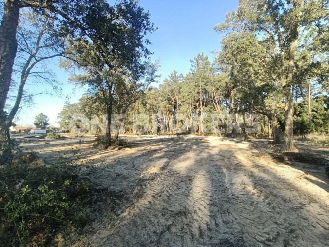 Terreno para Venda em Salvaterra de Magos e Foros de Salvaterra Foto 7