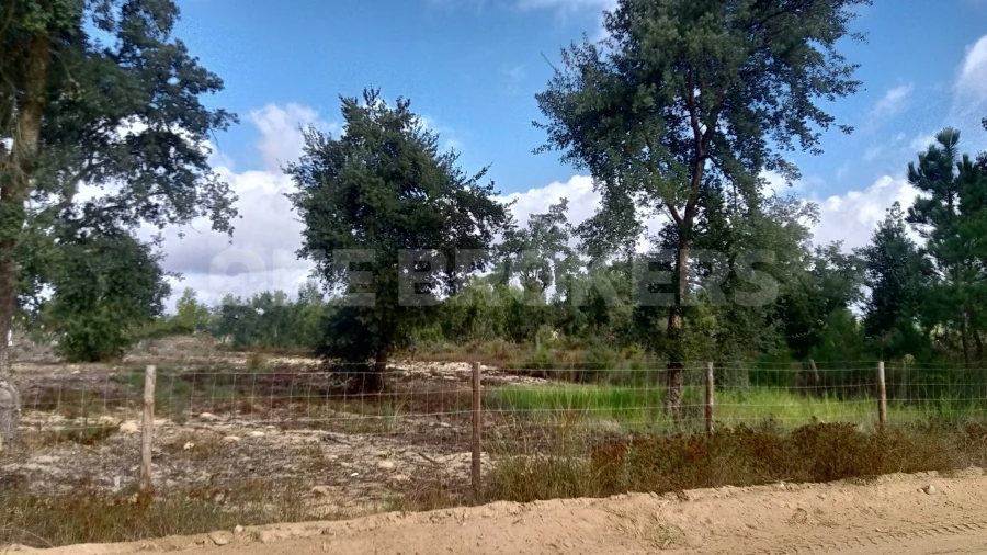 Terreno para Venda em Salvaterra de Magos e Foros de Salvaterra Foto 19