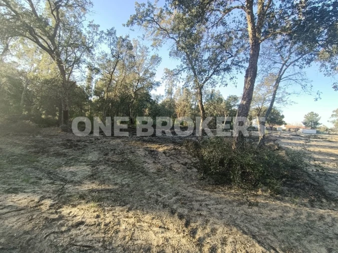 Terreno para Venda em Salvaterra de Magos e Foros de Salvaterra Foto 11