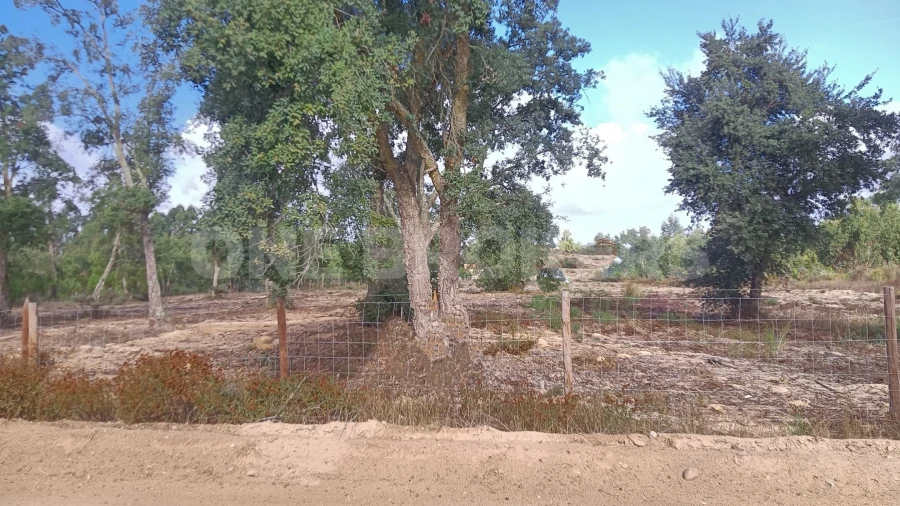 Terreno para Venda em Salvaterra de Magos e Foros de Salvaterra Foto 17