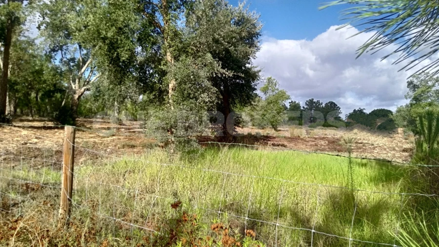 Terreno para Venda em Salvaterra de Magos e Foros de Salvaterra Foto 1