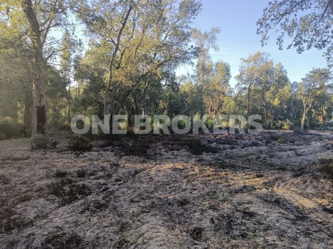 Terreno para Venda em Salvaterra de Magos e Foros de Salvaterra Foto 10
