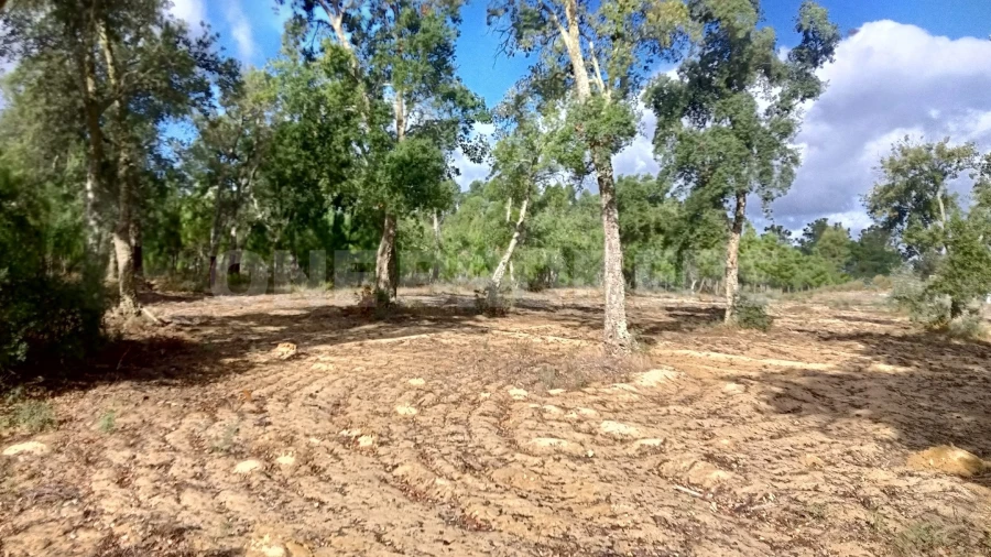 Terreno para Venda em Salvaterra de Magos e Foros de Salvaterra Foto 15