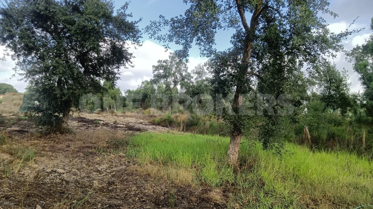 Terreno para Venda em Salvaterra de Magos e Foros de Salvaterra Foto 2