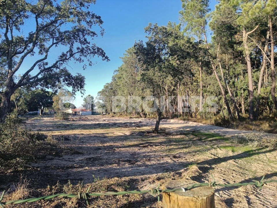 Terreno para Venda em Salvaterra de Magos e Foros de Salvaterra Foto 8