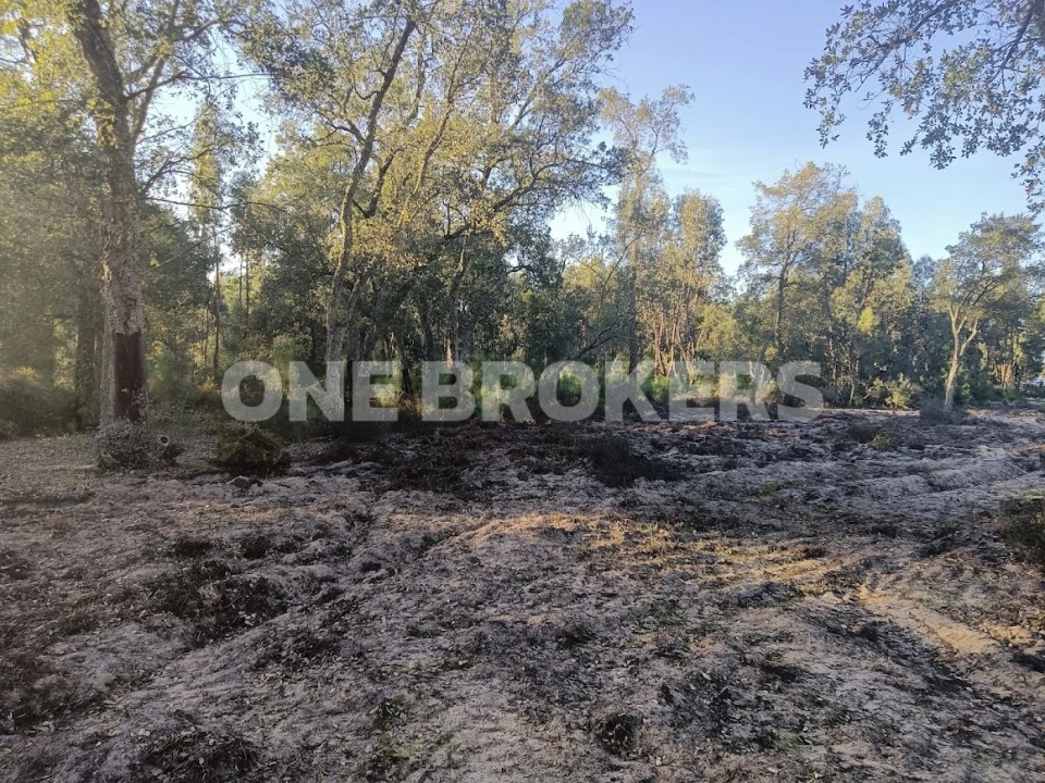 Terreno para Venda em Salvaterra de Magos e Foros de Salvaterra Foto 10