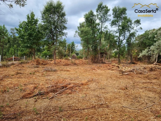 Terreno para Venda em Castelo Foto 2