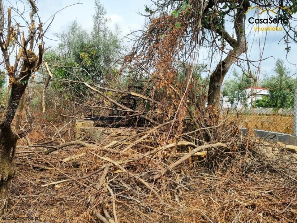 Terreno para Venda em Castelo Foto 4