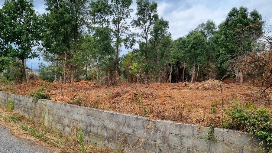 Terreno para Venda em Castelo