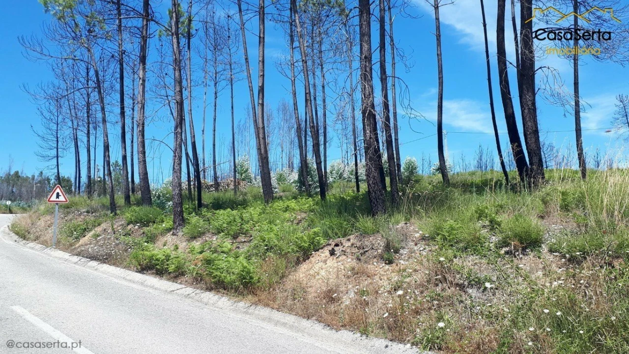 Terreno para Venda em Varzea dos Cavaleiros Foto 1