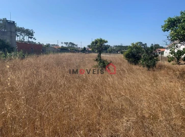 Terreno para Venda em Monte Redondo e Carreira