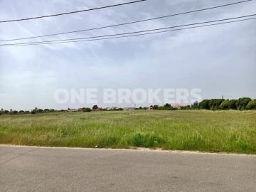 Terreno para Venda em Marinhais