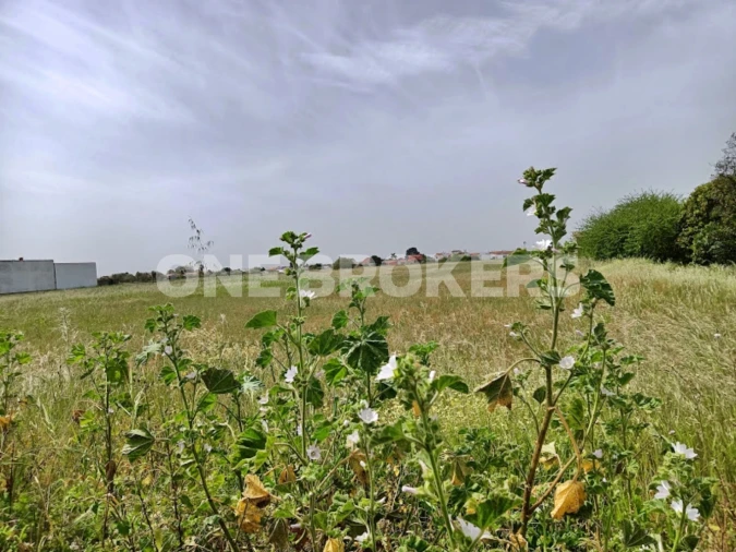 Terreno para Venda em Marinhais Foto 3