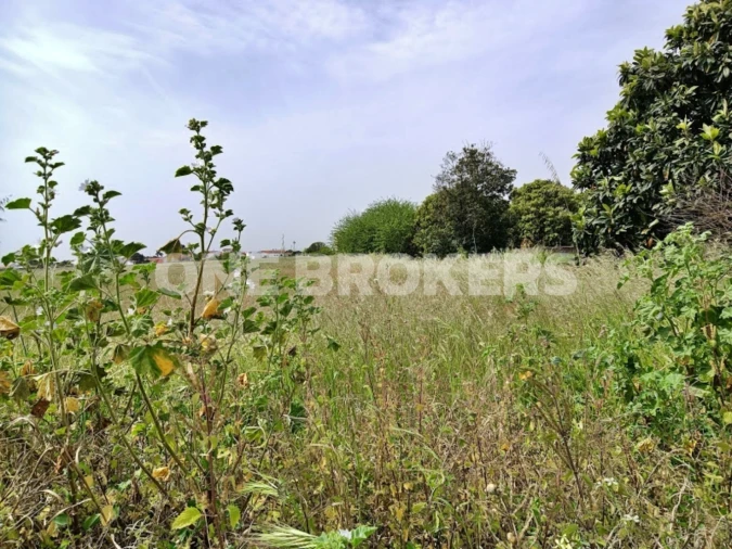 Terreno para Venda em Marinhais Foto 4