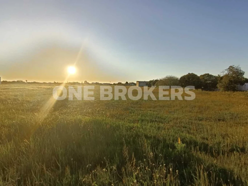 Terreno para Venda em Marinhais Foto 9