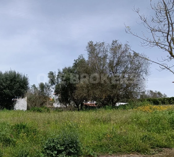 Terreno para Venda em Santo Estêvão Foto 2