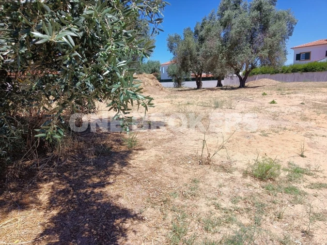Terreno para Venda em Santo Estêvão Foto 10