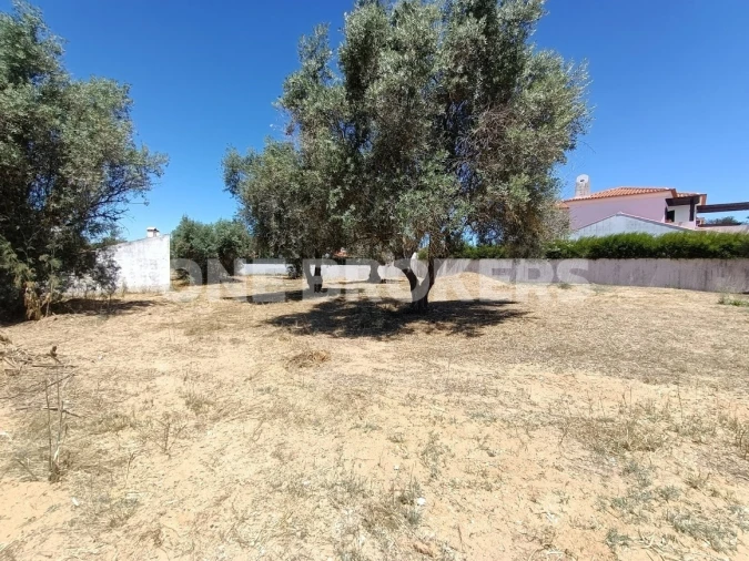 Terreno para Venda em Santo Estêvão Foto 12