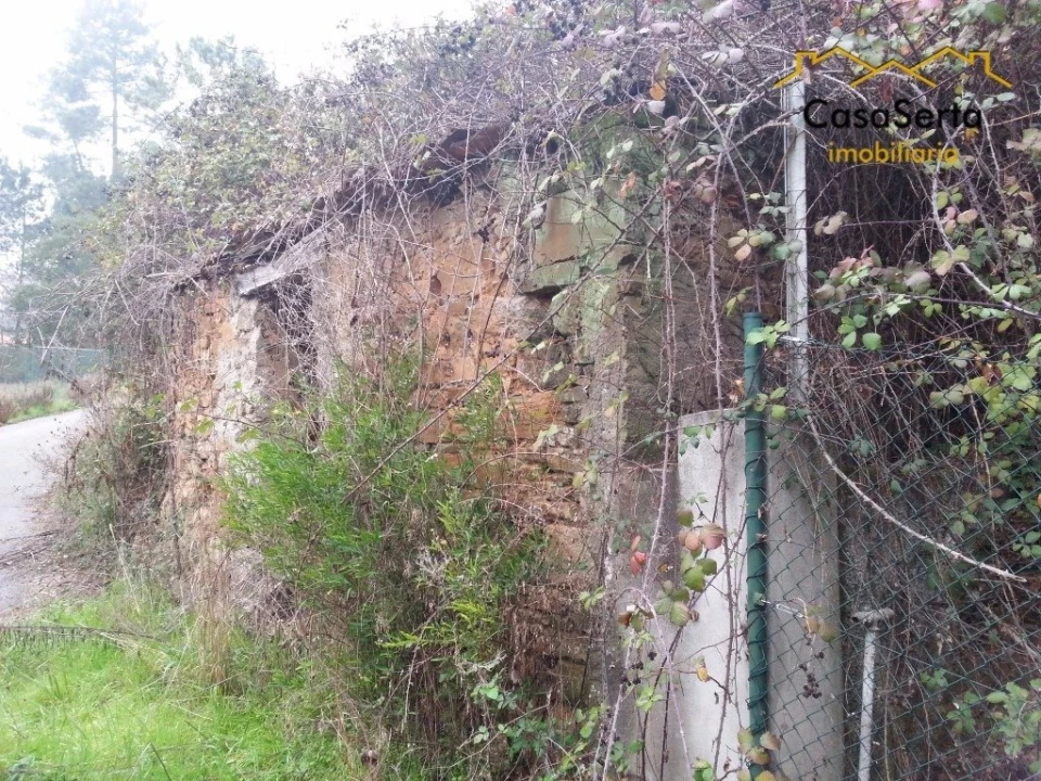 Terreno para Venda em Sertã Foto 1