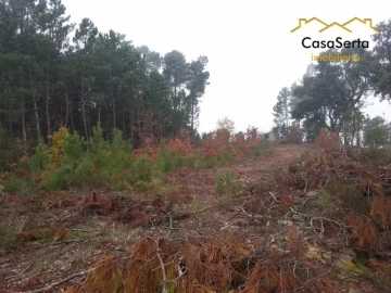 Terreno para Venda em Sertã