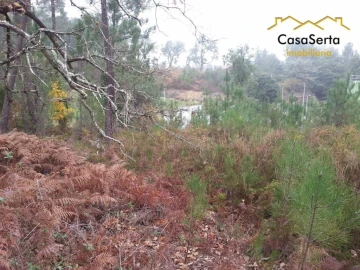 Terreno para Venda em Sertã