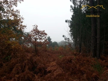 Terreno para Venda em Sertã