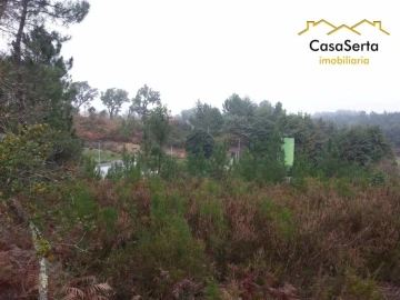 Terreno para Venda em Sertã