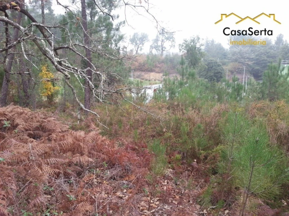 Terreno para Venda em Sertã Foto 2