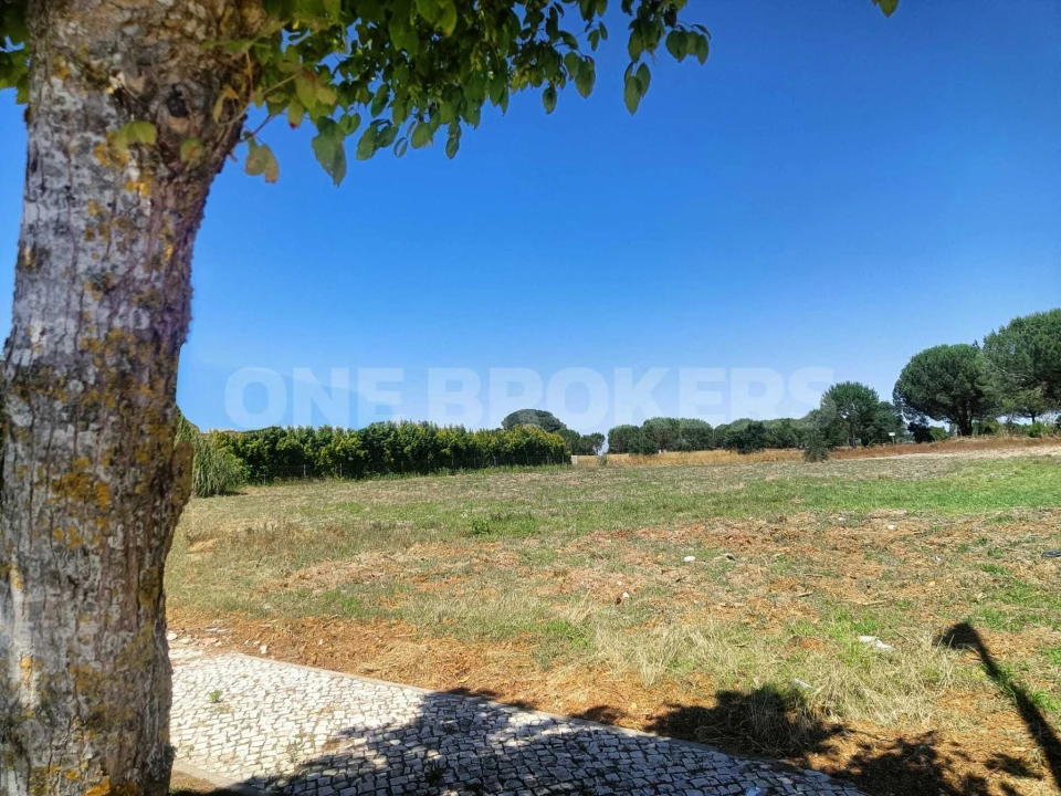 Terreno para Venda em Santo Estêvão Foto 3