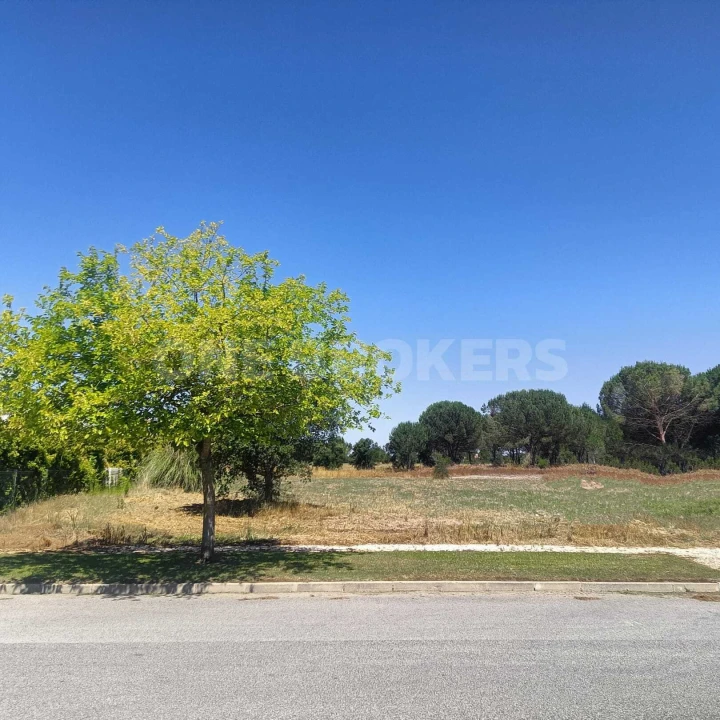 Terreno para Venda em Santo Estêvão Foto 16