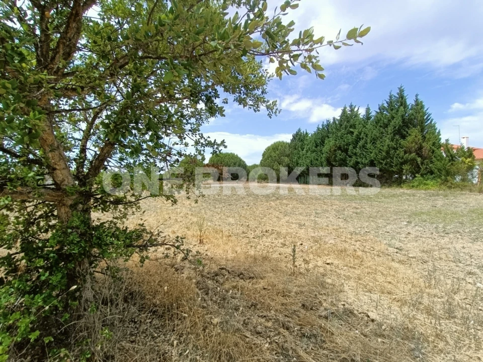 Terreno para Venda em Santo Estêvão Foto 7