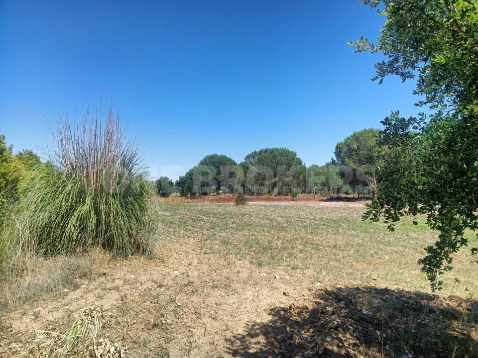 Terreno para Venda em Santo Estêvão Foto 1
