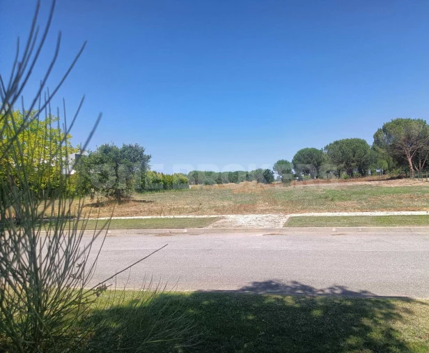 Terreno para Venda em Santo Estêvão Foto 17