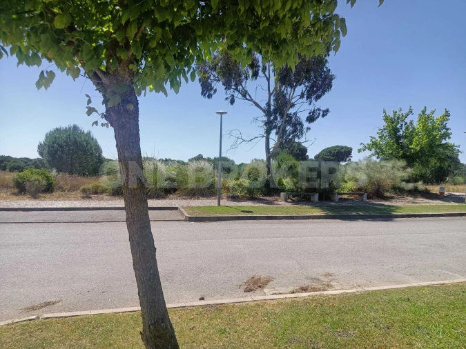 Terreno para Venda em Santo Estêvão Foto 15
