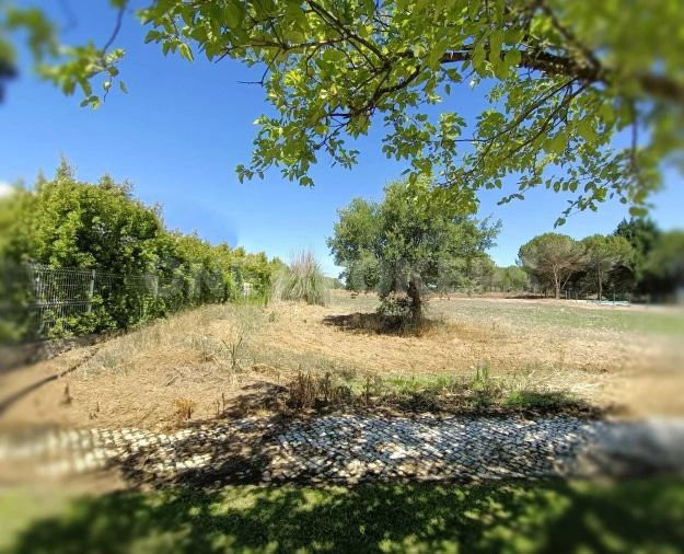 Terreno para Venda em Santo Estêvão Foto 6