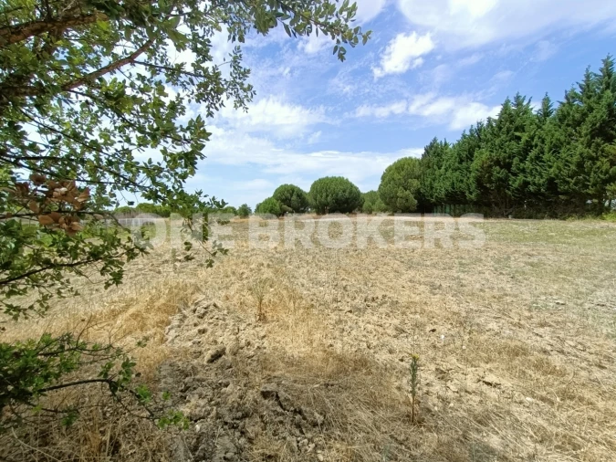 Terreno para Venda em Santo Estêvão Foto 8