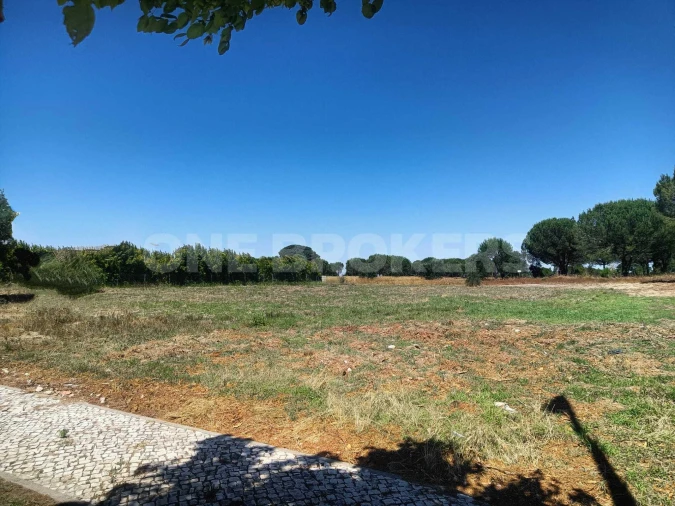 Terreno para Venda em Santo Estêvão Foto 13