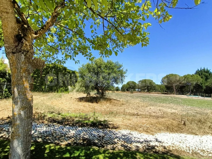 Terreno para Venda em Santo Estêvão Foto 2
