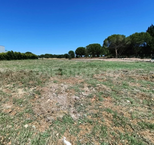 Terreno para Venda em Santo Estêvão Foto 10