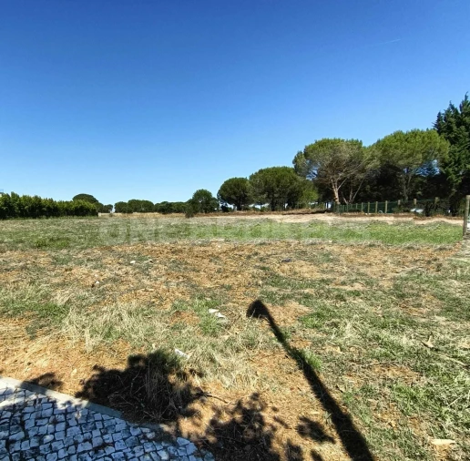 Terreno para Venda em Santo Estêvão Foto 11