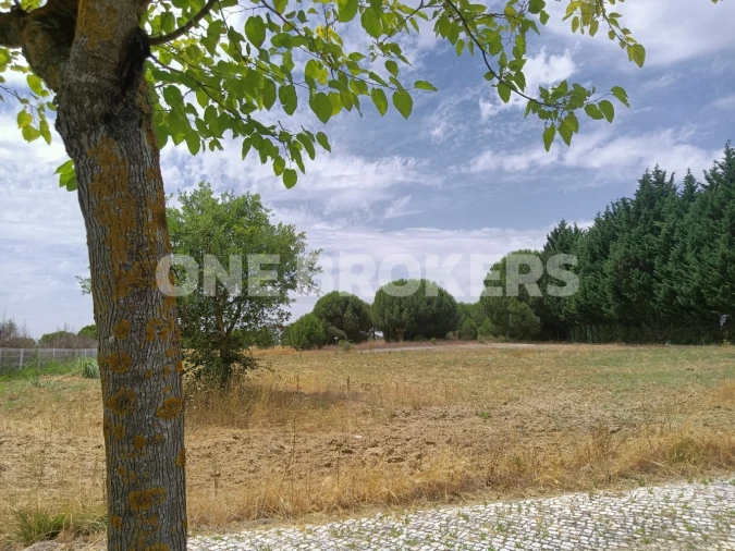 Terreno para Venda em Santo Estêvão Foto 4
