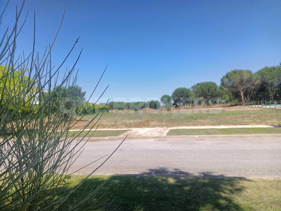 Terreno para Venda em Santo Estêvão Foto 14