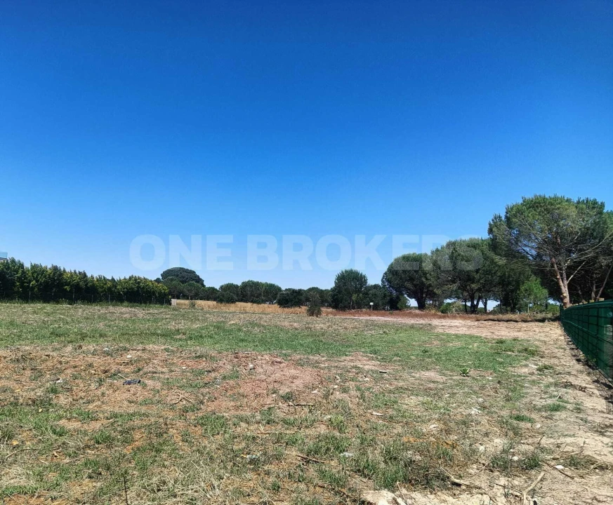 Terreno para Venda em Santo Estêvão Foto 12