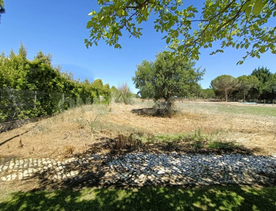 Terreno para Venda em Santo Estêvão Foto 5