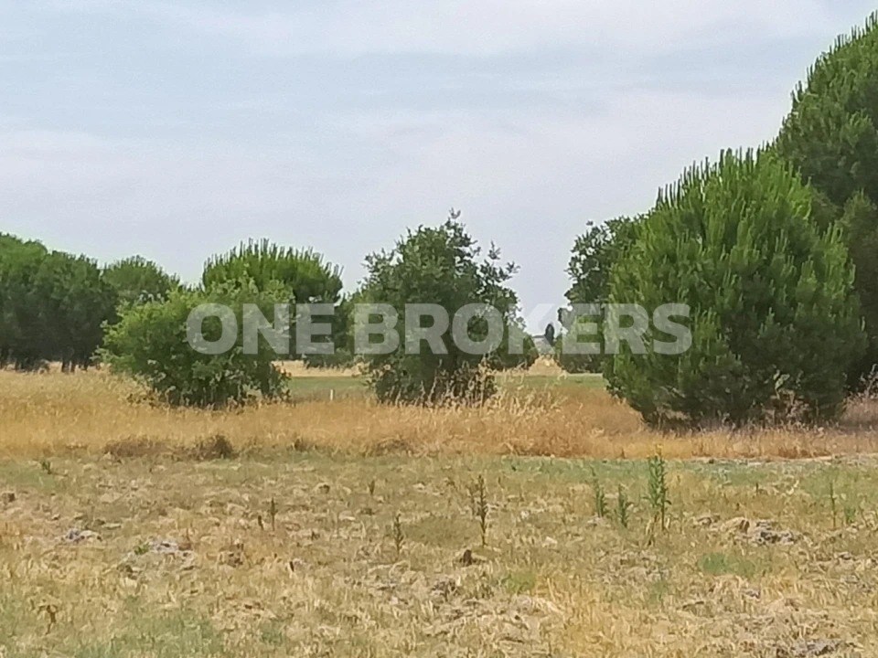 Terreno para Venda em Santo Estêvão Foto 9