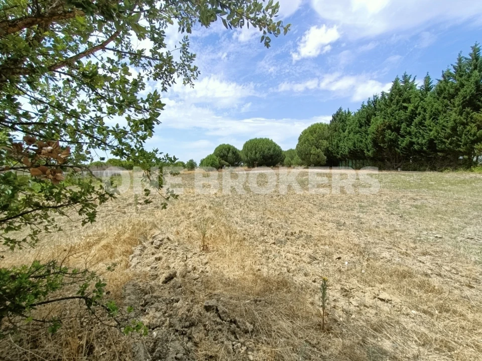 Terreno para Venda em Santo Estêvão Foto 8